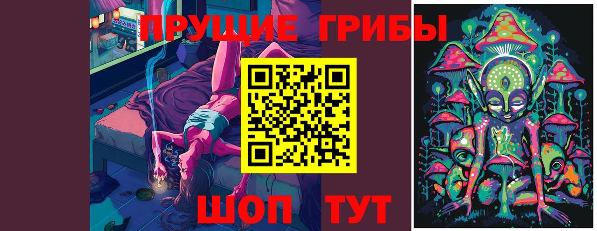 Галлюциногенные грибы GOLDEN TEACHER  Псилоцибиновые грибы ЛСД  Кингисепп  Вход с VPN 